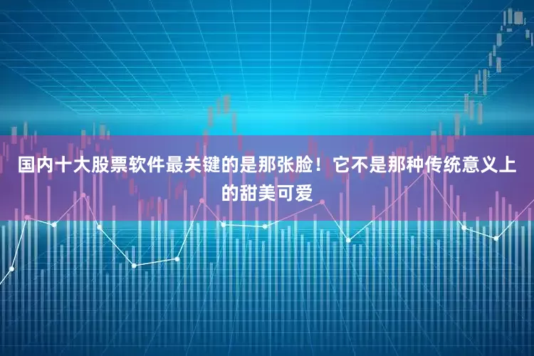 国内十大股票软件最关键的是那张脸！它不是那种传统意义上的甜美可爱