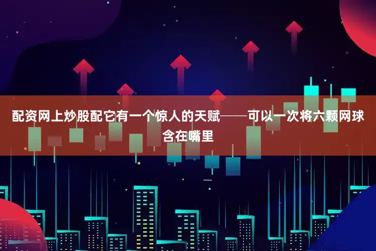 配资网上炒股配它有一个惊人的天赋──可以一次将六颗网球含在嘴里